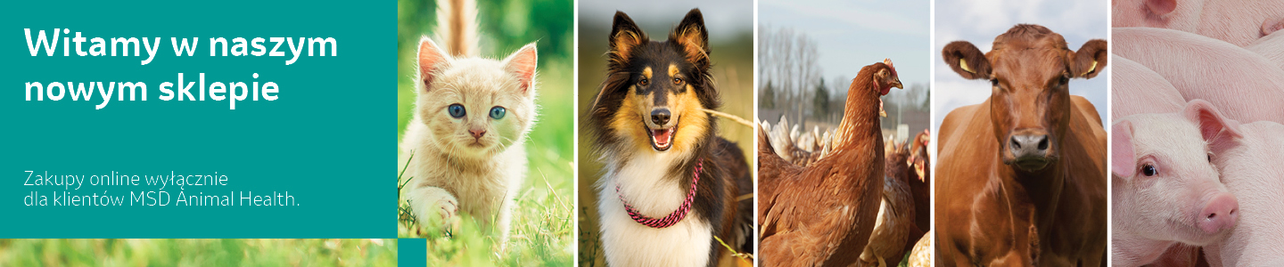 MSD Animal Health Logo